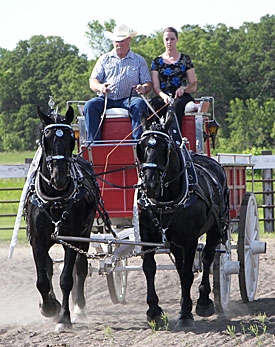 Estendon Horse Ranch Sarles